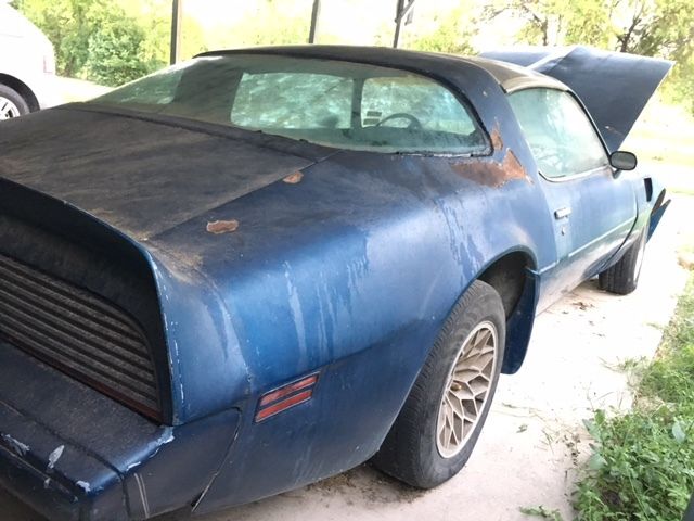 1980 Pontiac Trans Am - photo 6