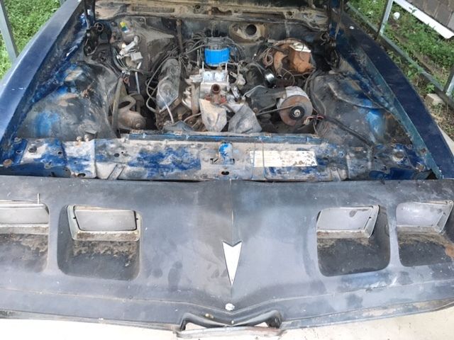 1980 Pontiac Trans Am - photo 8
