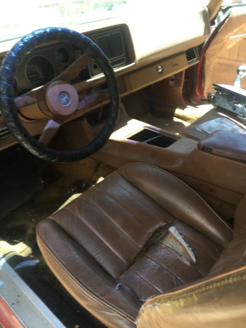 1980 Chevrolet Camaro Z28 - photo 11
