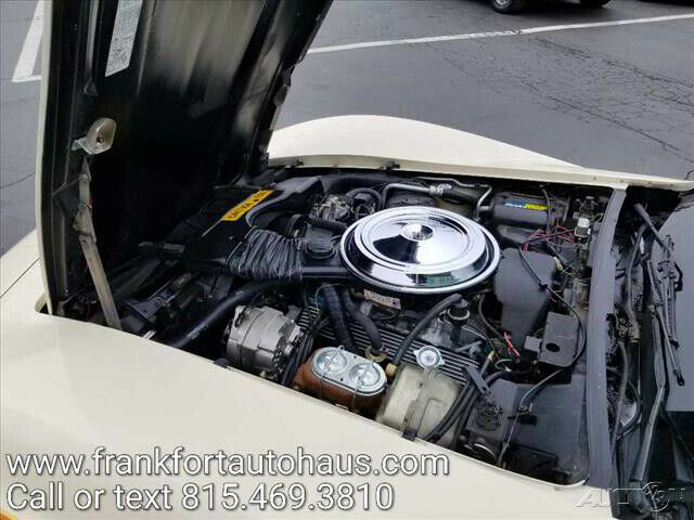 1981 Chevrolet Corvette 2dr Coupe - photo 5
