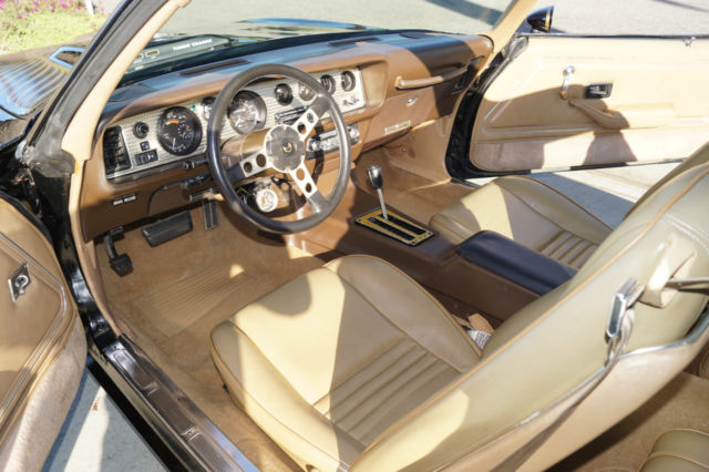 1981 Pontiac Trans Am 4.9L V8 TURBO COUPE WITH T-TOPS! - photo 12