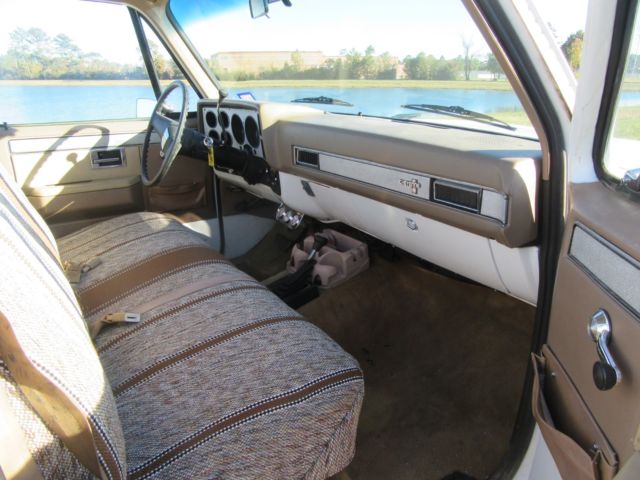 1981 Chevrolet C/K Pickup 1500 CHEYENNE - photo 11