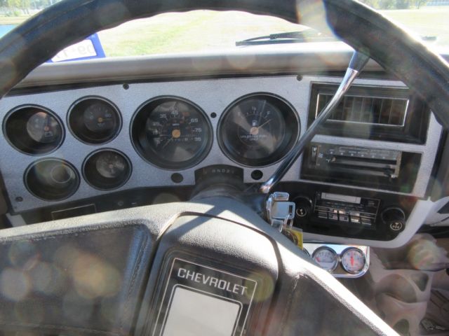 1981 Chevrolet C/K Pickup 1500 CHEYENNE - photo 12