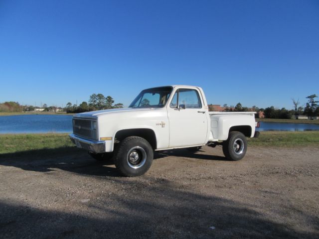 1981 Chevrolet C/K Pickup 1500 CHEYENNE - photo 2