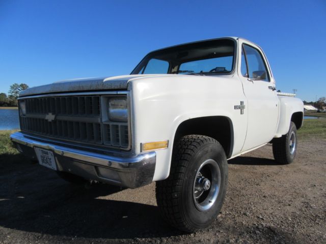 1981 Chevrolet C/K Pickup 1500 CHEYENNE - photo 3