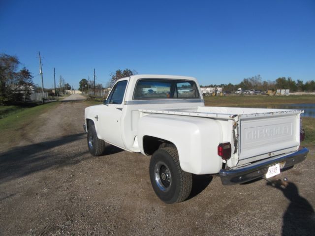 1981 Chevrolet C/K Pickup 1500 CHEYENNE - photo 4
