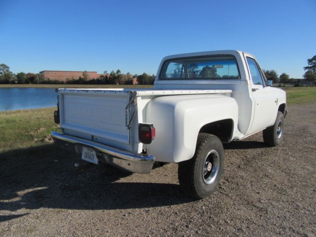 1981 Chevrolet C/K Pickup 1500 CHEYENNE - photo 8