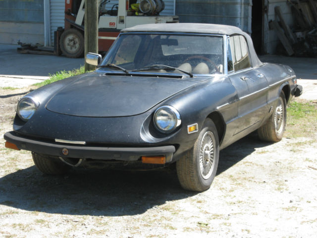 1981 Alfa Romeo Spider SPIDER