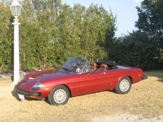 1981 Alfa Romeo Spider Veloce - photo 8