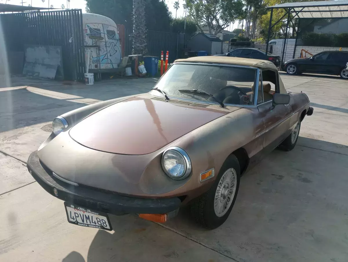 1981 ALFA ROMEO SPIDER VELOCE 17K Original Miles 1981 Alfa Romeo Spider