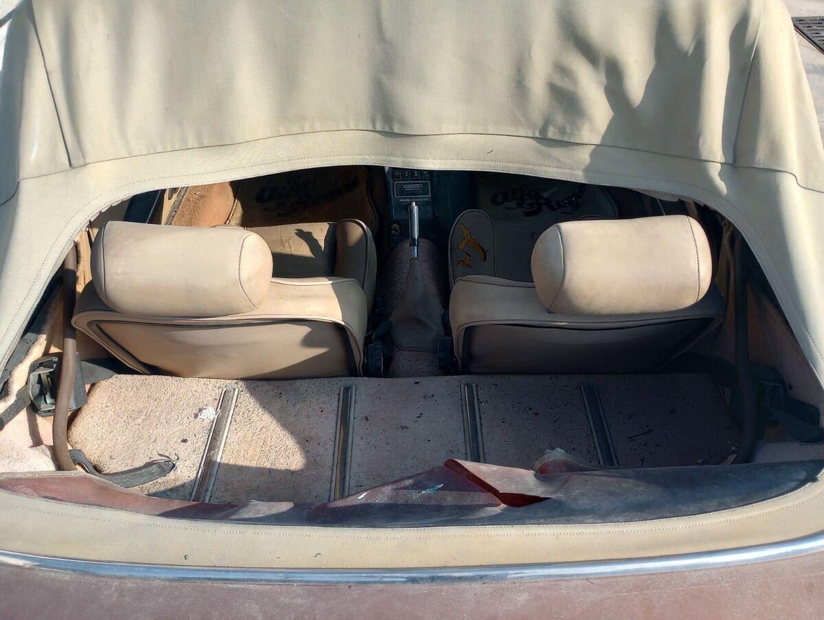 1981 Alfa Romeo Spider - photo 11
