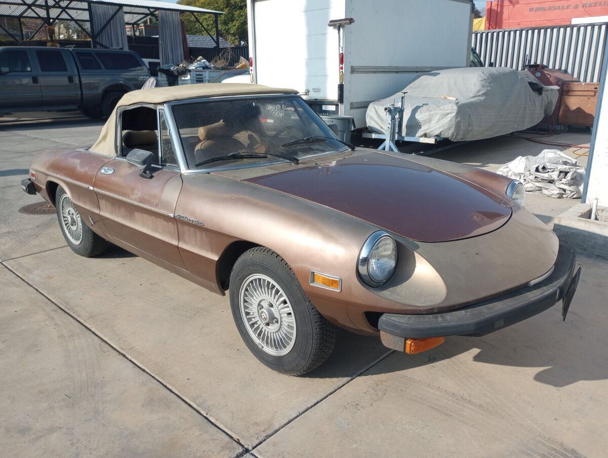 1981 Alfa Romeo Spider - photo 2