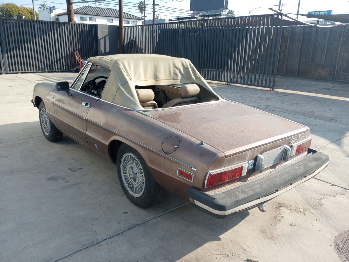 1981 Alfa Romeo Spider - photo 4