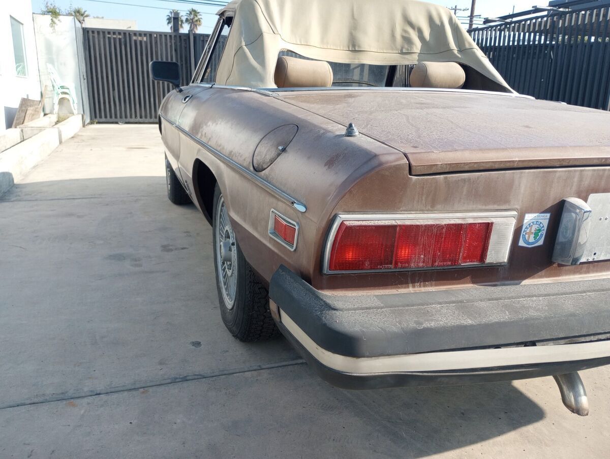 1981 Alfa Romeo Spider - photo 5