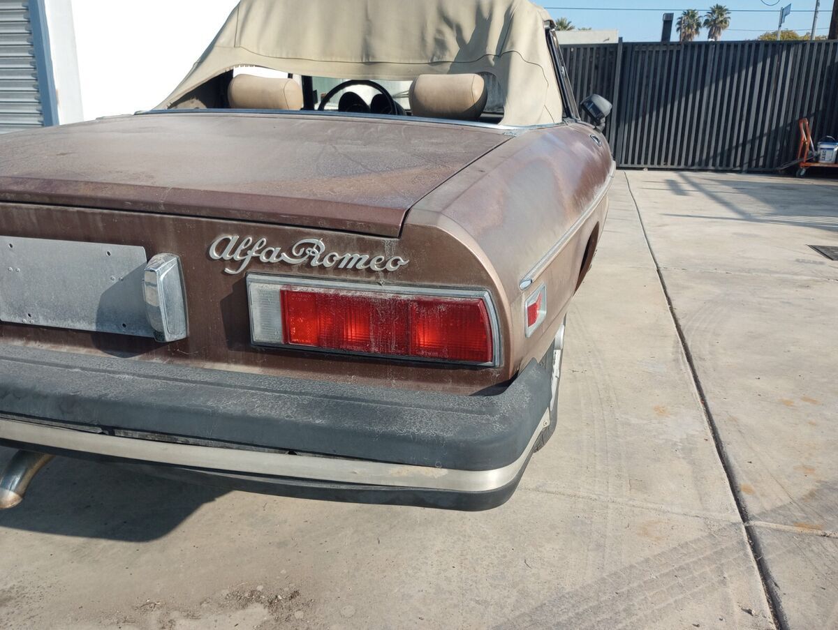 1981 Alfa Romeo Spider - photo 7