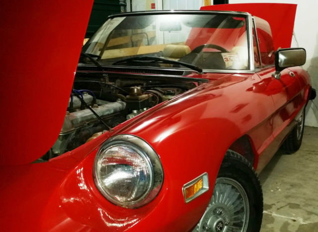 1981 Alfa Romeo Spider