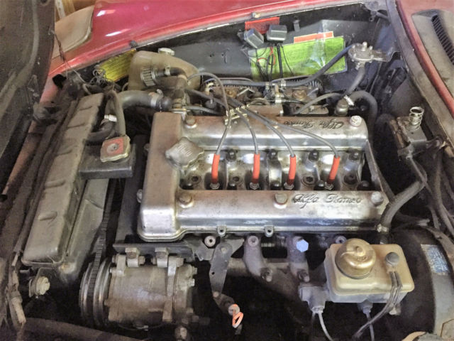 1981 Alfa Romeo Spider Veloce - photo 10