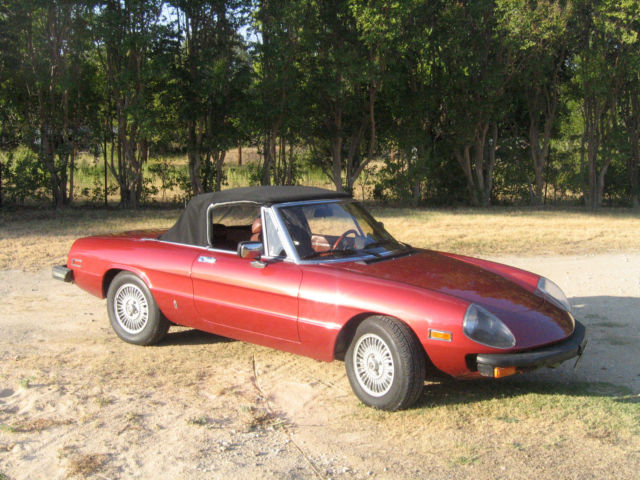 1981 Alfa Romeo Spider Veloce - photo 3