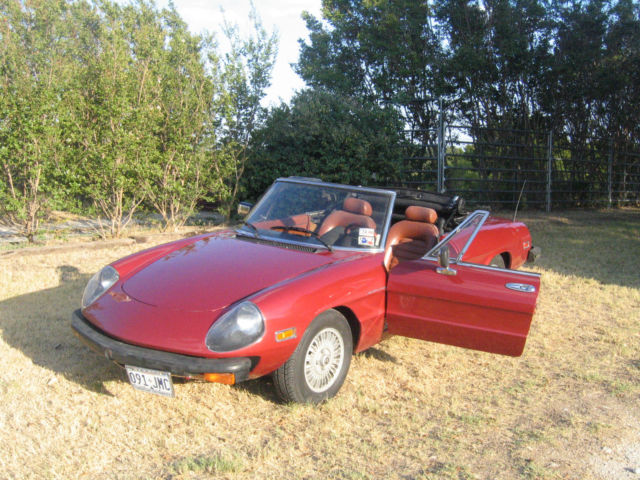 1981 Alfa Romeo Spider Veloce - photo 5