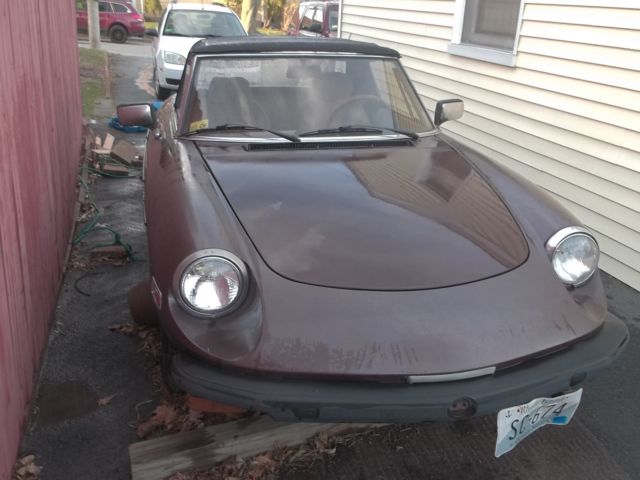 1981 Alfa Romeo Spider - photo 2