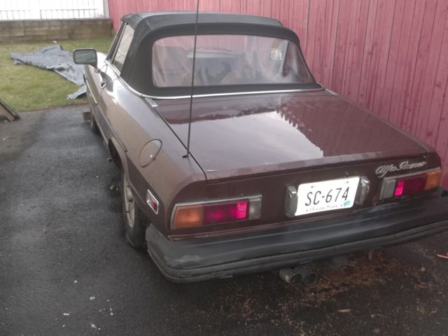 1981 Alfa Romeo Spider - photo 3