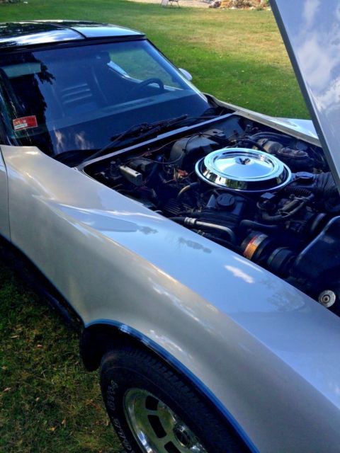 1981 Chevrolet Corvette - photo 5