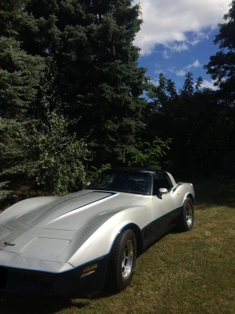 1981 Chevrolet Corvette - photo 7