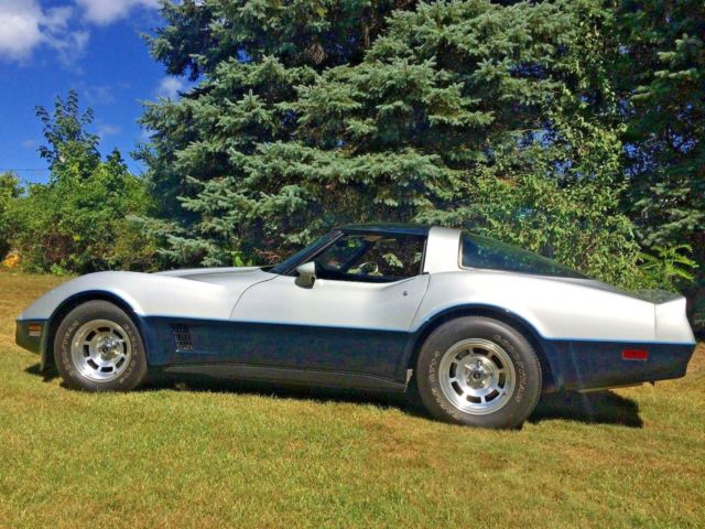1981 Chevrolet Corvette - photo 8