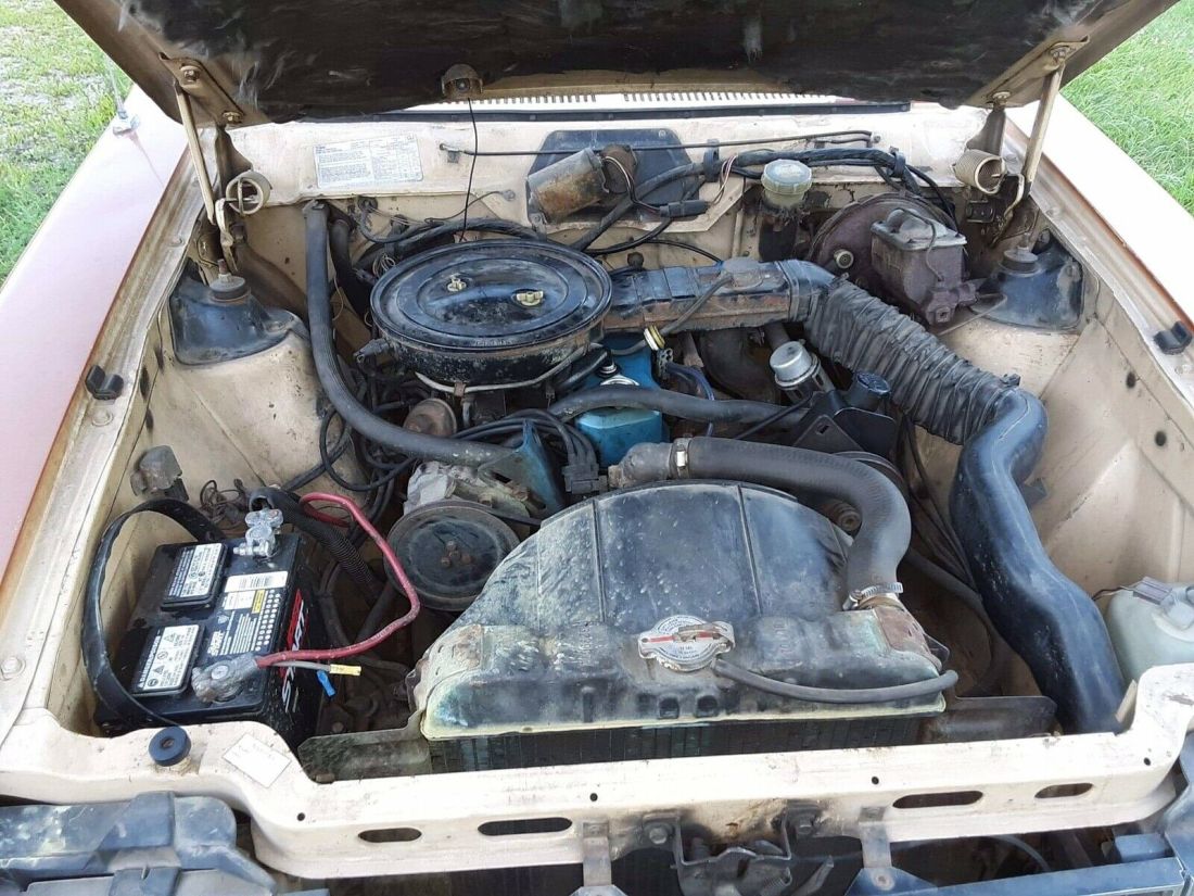 1981 American Motors Spirit DL - photo 13