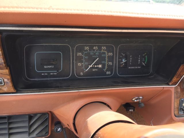 1981 AMC Other DL - photo 10