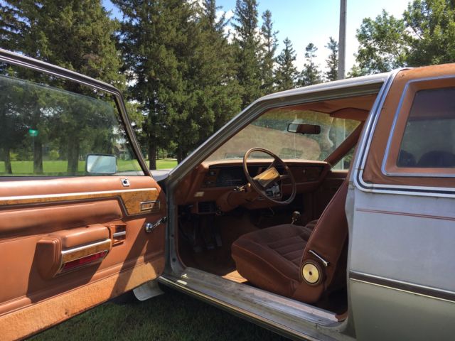 1981 AMC Other DL - photo 7
