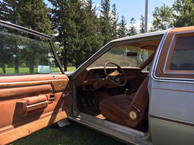 1981 AMC Other DL - photo 8
