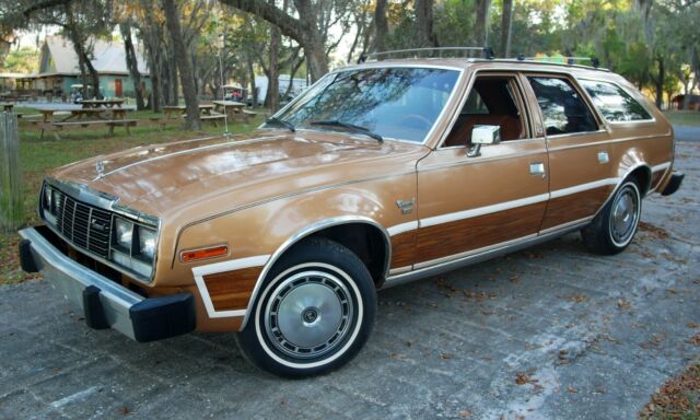 1981 AMC Concord DL Hipster Mobile in perfect, low mileage, survivor condition 1983 AMC Other DL Woody Wagon