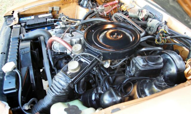 1983 AMC Other DL Woody Wagon - photo 12