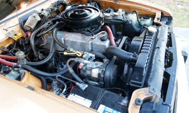 1983 AMC Other DL Woody Wagon - photo 13