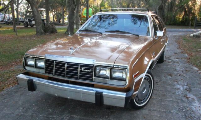 1983 AMC Other DL Woody Wagon - photo 2