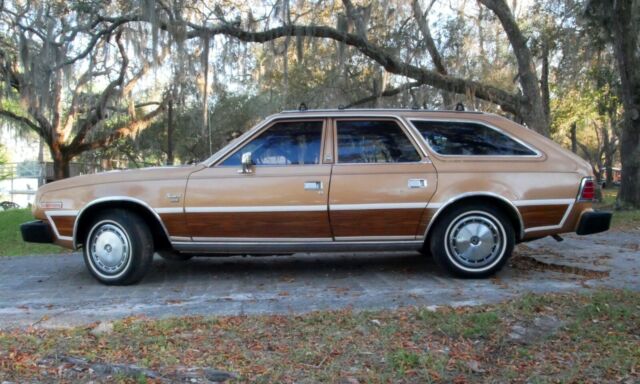 1983 AMC Other DL Woody Wagon - photo 3