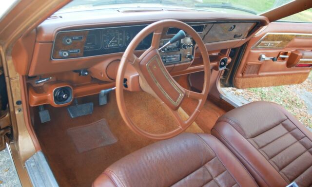 1983 AMC Other DL Woody Wagon - photo 5
