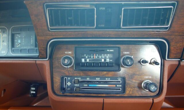 1983 AMC Other DL Woody Wagon - photo 9