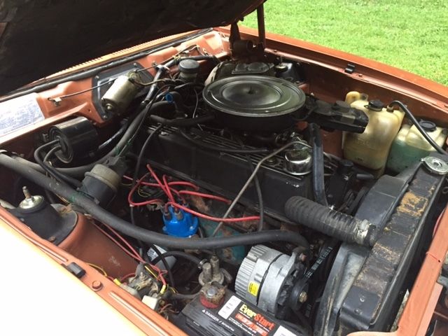 1981 AMC Other kammback - photo 2