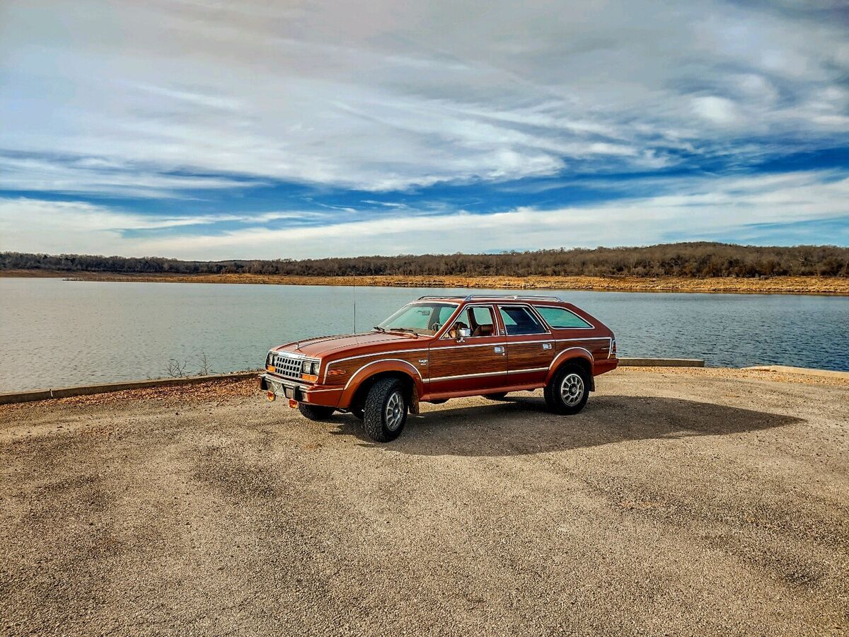1981 AMC Eagle 30 LIMITED - photo 10
