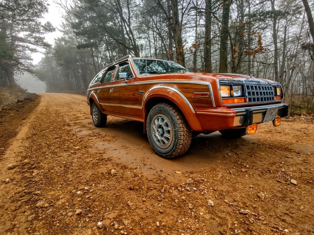 1981 AMC Eagle 30 LIMITED - photo 13