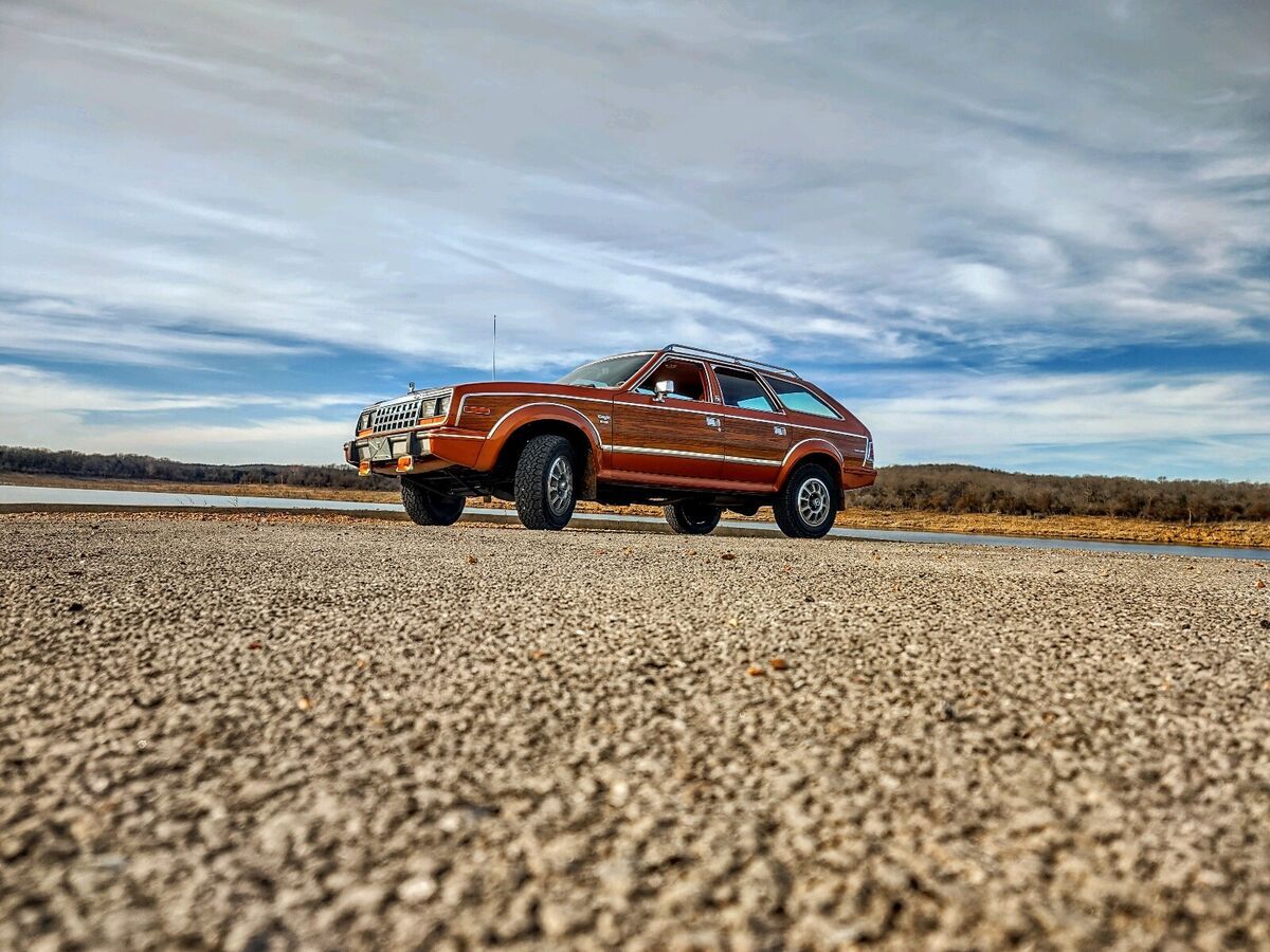 1981 AMC Eagle 30 LIMITED - photo 9
