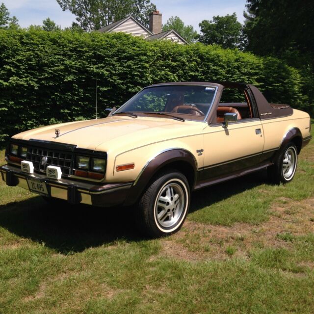 1981 AMC Other limited - photo 12