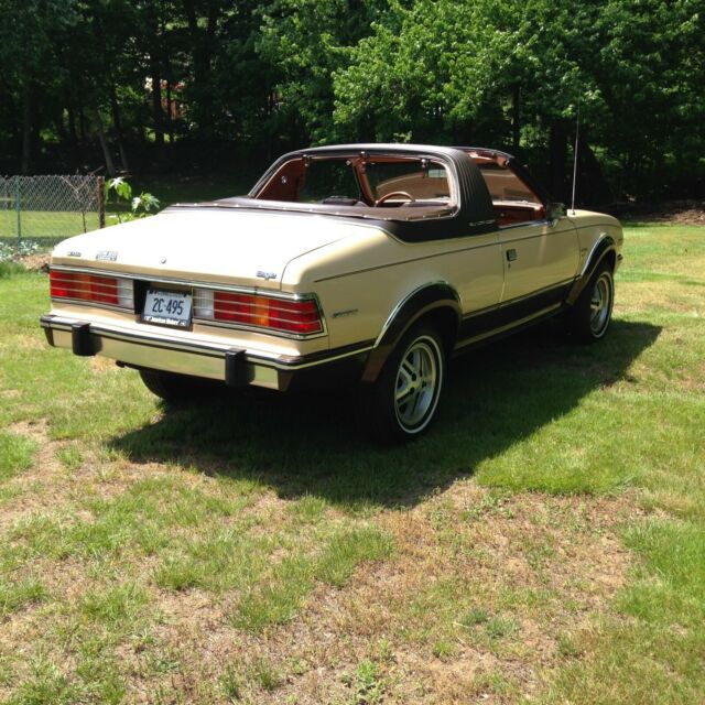 1981 AMC Other limited - photo 2