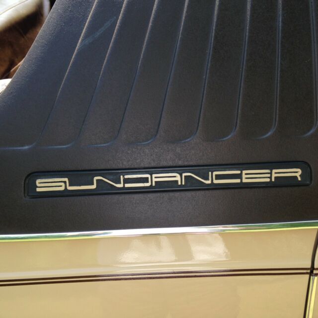 1981 AMC Other limited - photo 7