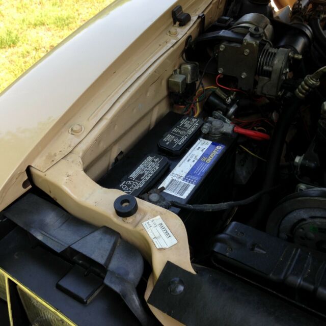 1981 AMC Other limited - photo 8