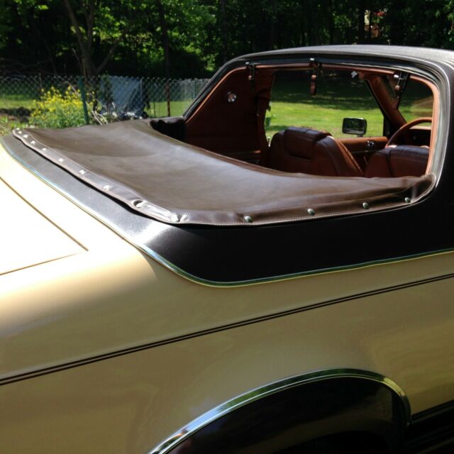 1981 AMC Other limited - photo 9