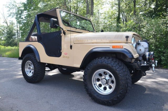 1981 Jeep CJ Renegade - photo 11