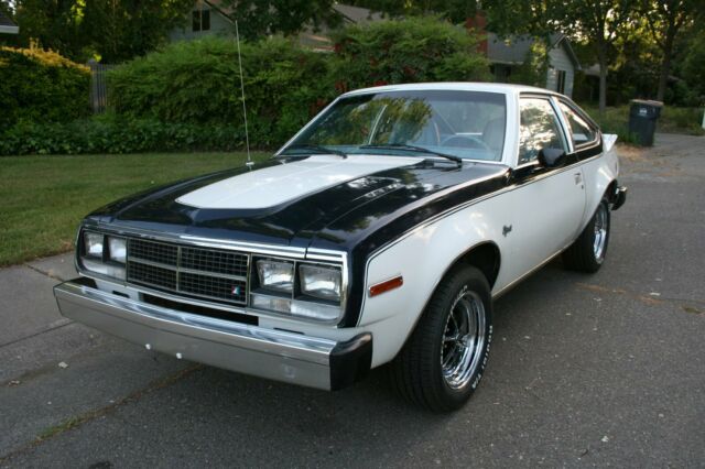1981 AMC Other - photo 2